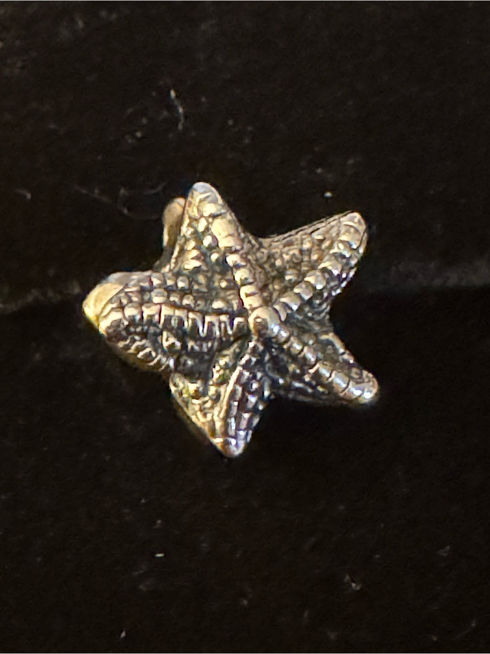 Chamilia Silver Starfish Brooch